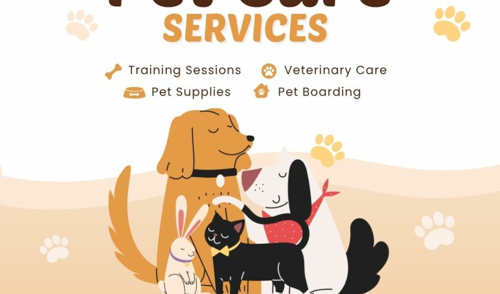 DeePet Services, pet care Delhi NCR, at-home pet care, affordable vet home visit, dog walking Delhi, cat grooming at home, pet grooming Delhi NCR, pet training Delhi, veterinary services at home, ₹499