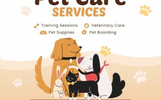 DeePet Services, pet care Delhi NCR, at-home pet care, affordable vet home visit, dog walking Delhi, cat grooming at home, pet grooming Delhi NCR, pet training Delhi, veterinary services at home, ₹499