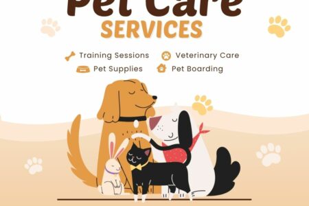 DeePet Services, pet care Delhi NCR, at-home pet care, affordable vet home visit, dog walking Delhi, cat grooming at home, pet grooming Delhi NCR, pet training Delhi, veterinary services at home, ₹499