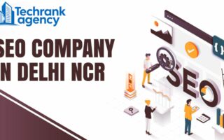 TechRank Agency, Best SEO Company in Delhi NCR, SEO Services Delhi, Google Business Profile Optimization Delhi, Local SEO Delhi NCR, Content Writing Services Delhi, Digital Marketing Delhi NCR, SEO Ex